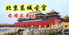 操逼一上一下舔视频中国北京-东城古宫旅游风景区